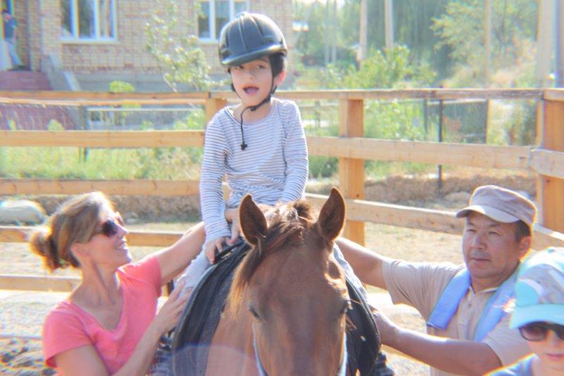 Helpful Horses